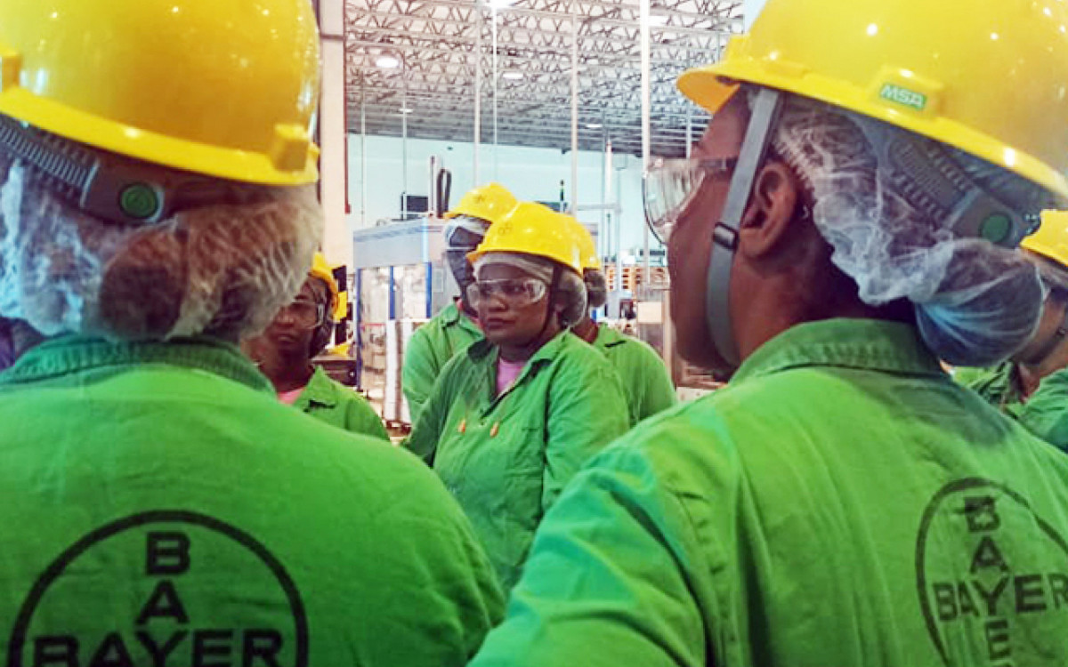 Bayer Vacantes