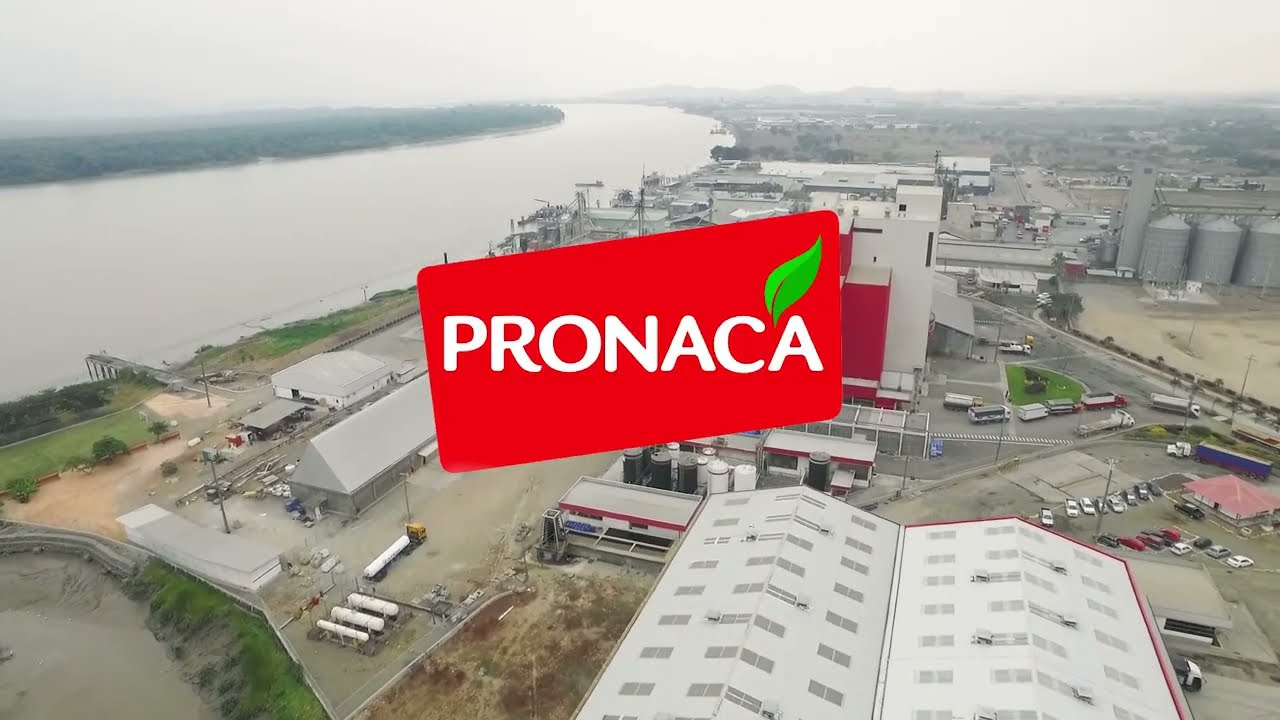 Pronaca Jobs
