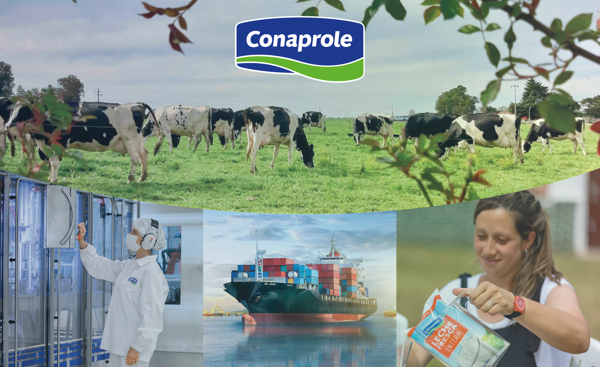 Conaprole